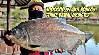 Solusi keboncosan ‼️Rekomendasi Mancing anti boncos di jogja - The Westlake Resort || PrefishTRIP#41 screenshot 5