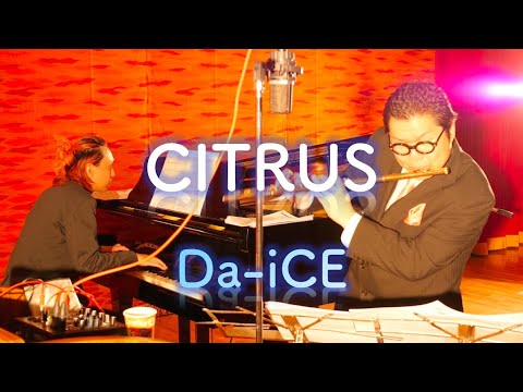 【Flute Cover】CITRUS〈Da-iCE〉