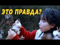 Тайна китайской YouTube-звезды Ли Цзыци | Секрет Liziqi | Китай без цензуры