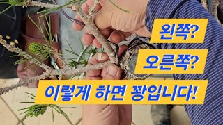 나무 중심틀을 잡는 철사걸이의 이해