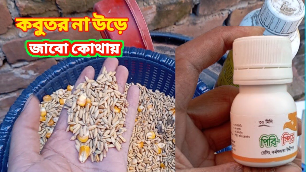 এর জন্য আমি নড় মাদী এক সাথে উড়াতে চাই না।