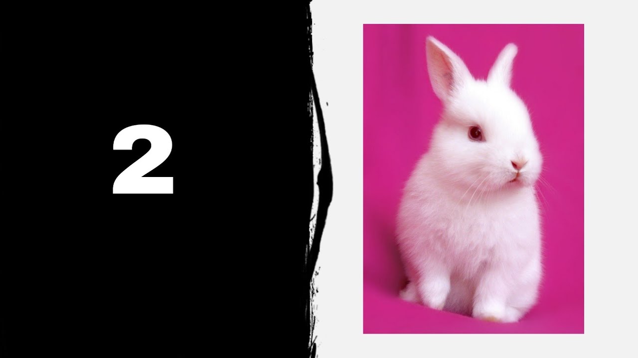 Figure from number 2. Rabbit. - YouTube
