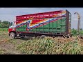 Llego el camion gigante