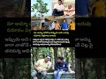 plants lover shiyaji shinde#shiyaji shinde#viral#plants#celebreties#love#ytshots