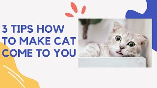 3 Tips How To Make Cat Come To You