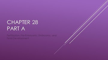 Chapter 28 Part A (Fertilization, Pre-embryonic, Embryonic, and Fetal Development)