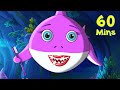 Baby shark songs  nursery rhymes  baby songs  fun for kids tv