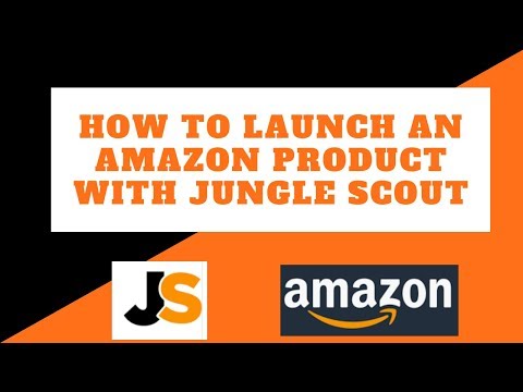 How to launch an Amazon product with Jungle Scout (Email Campaign)