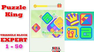 Puzzle King | Triangle Block | EXPERT | Level 1-1 to 1-50 | Walkthrough screenshot 5