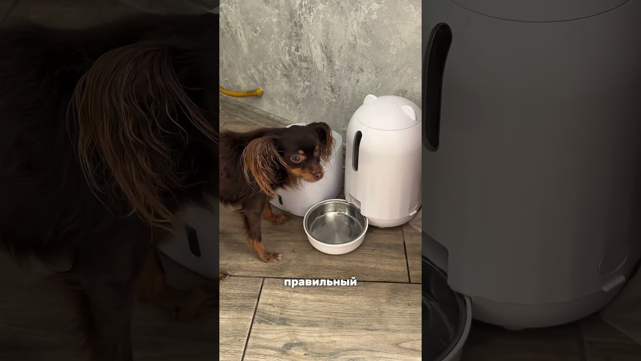 Лосьон для глаз артикул ВБ: 323088002