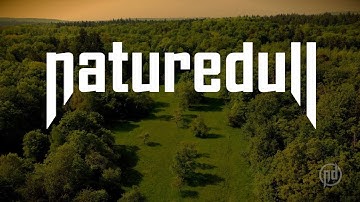 Naturedull - Canopy Of Leaves (Official Music Video)