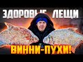 ВОТ ЭТО ВИННИ-ПУХИ!!!ТАКИХ КРУПНЫХ ЛЕЩЕЙ И ЯЗЕЙ Я ЕЩЕ НЕ ЛОВИЛ!!!РЫБАЛКА НА КОМБАЙНЫ!ЛЕЩ!ЯЗЬ!ЩУКА!