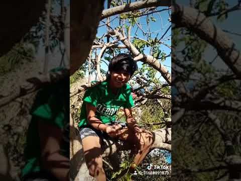 Tiktok Kires Na Aka Dahil Sa Covid 