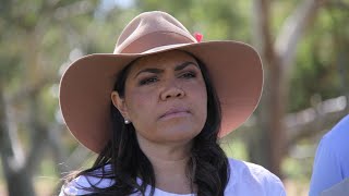 Jacinta Nampijinpa Price offered lower house seats by Liberals prior to defection