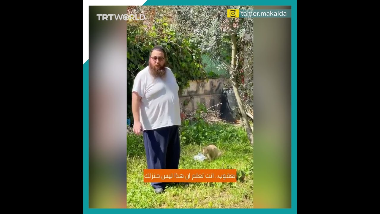 An Israeli Settler S Stealing A Palestinian Home Caught On Camera