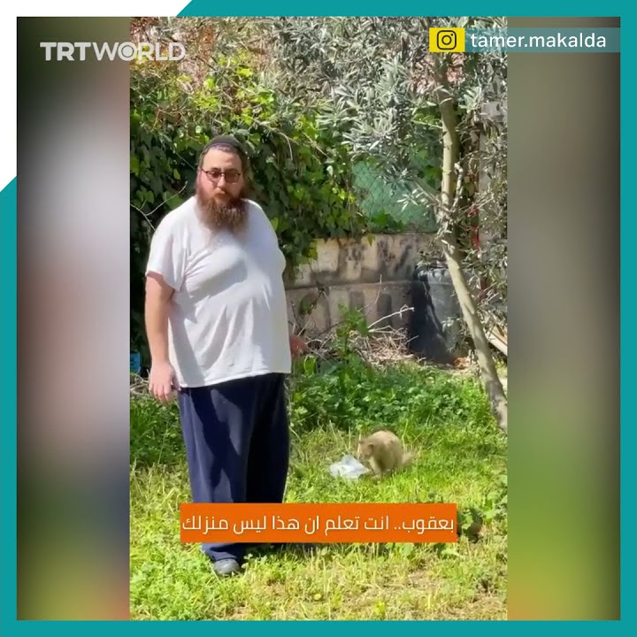 An Israeli settler’s stealing a Palestinian’s home caught on camera