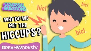 Why Do We Get Hiccups? | COLOSSAL QUESTIONS