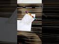 Making 3d Art | Creative Artist | Kala Creation | Art for Kid | Learn Art Making | Creative Creation