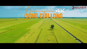 Vựa Lúa Đồng Bằng Sông Cửu Long | VIỆT NAM TƯƠI ĐẸP - FLYCAM 4K