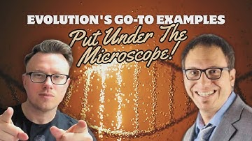 Lenski & Nylonase: Evolution’s Favorite Beneficial Mutations Debunked by a PhD Microbiologist