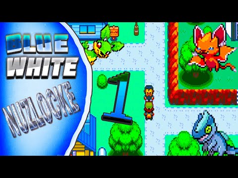 Pokemon Blue&White Nuzlocke Episode 1-Welcome to the Israel Region