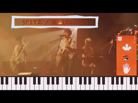 楓🍁(Kaede) - Spitz