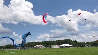 Blue Vamp Devil Quad Line  and Kite Buggy Action