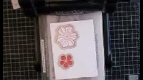 Big Shot Basics Part 1