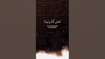 💟 تلاوة من سورة هود 💟 #اسلام_صبحي #quran #حالات_واتس #islamic