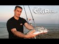 La pêche du marbré en Surfcasting