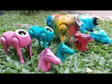 Wow... Wadidau‼️ Potong Sapi Qurban | Sapi, kerbau, kuda, gajah, domba, membersihkan sapi, unta