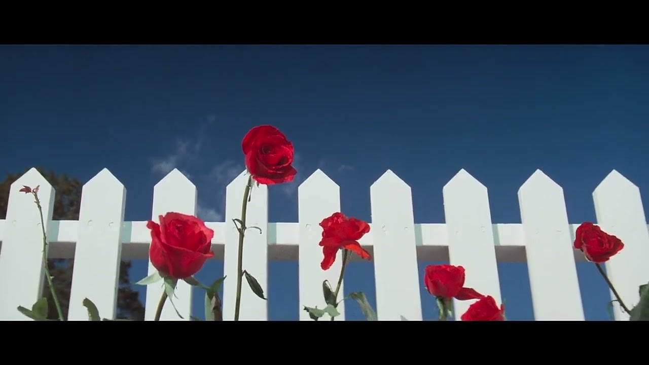 Nausicaä (Love Will Be Revealed)