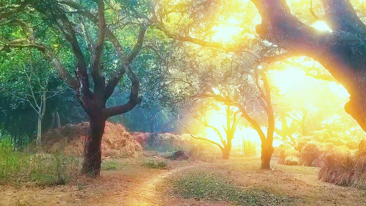 First MINI Vlog My Village ❤️🥀 