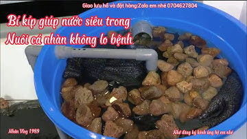 Bộ Lọc Hồ Cá Koi 300l Cực Tốt - Hồ Đẹp Lọc Nước Siêu Trong Khi Để Bơm Trong Hồ.Hồ E Sơn Ở Hà Nội