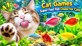 Cat Games 🐟 Super Fast Fish Chase for Cats | Fun Cat TV screenshot 5
