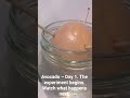Starting a new series. Stopmotion created in Stop Motion Studio on Android. Day one