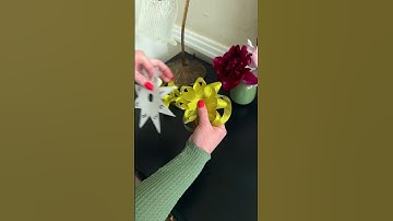 Ribbon bow tutorial with 8-pointed paper star! #Christmas #ribbon #crafts #gifting