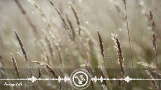 MIMMI BANGOURA - Funny Life