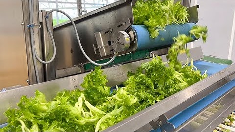 Harvesting machine for moving gutter systems