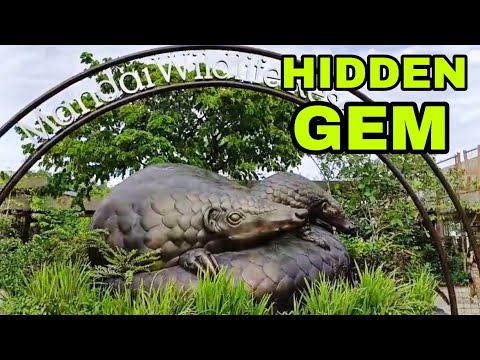 🍃 Exploring Mandai Wildlife Reserve/Nature Walk, Plant, Flowers & Wildlife 🍃