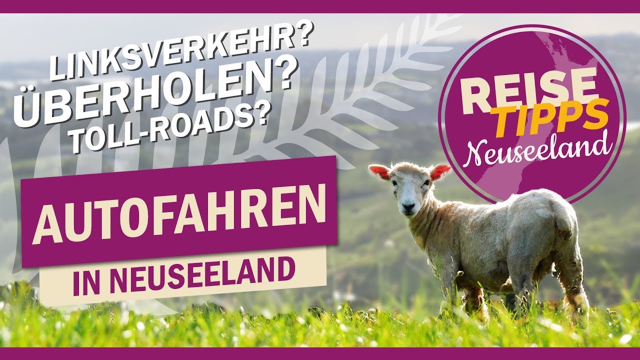 Reisetipps Neuseeland - Besonderheiten beim Autofahren | Video #08