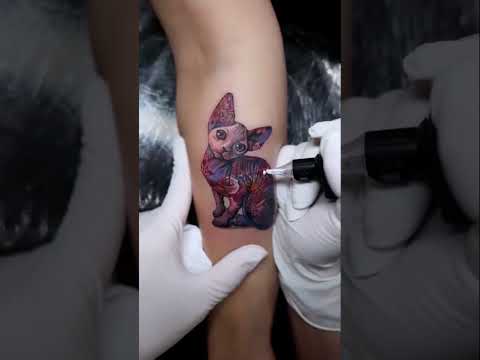 Video: Tatuaj Sphynx Pisici este crud