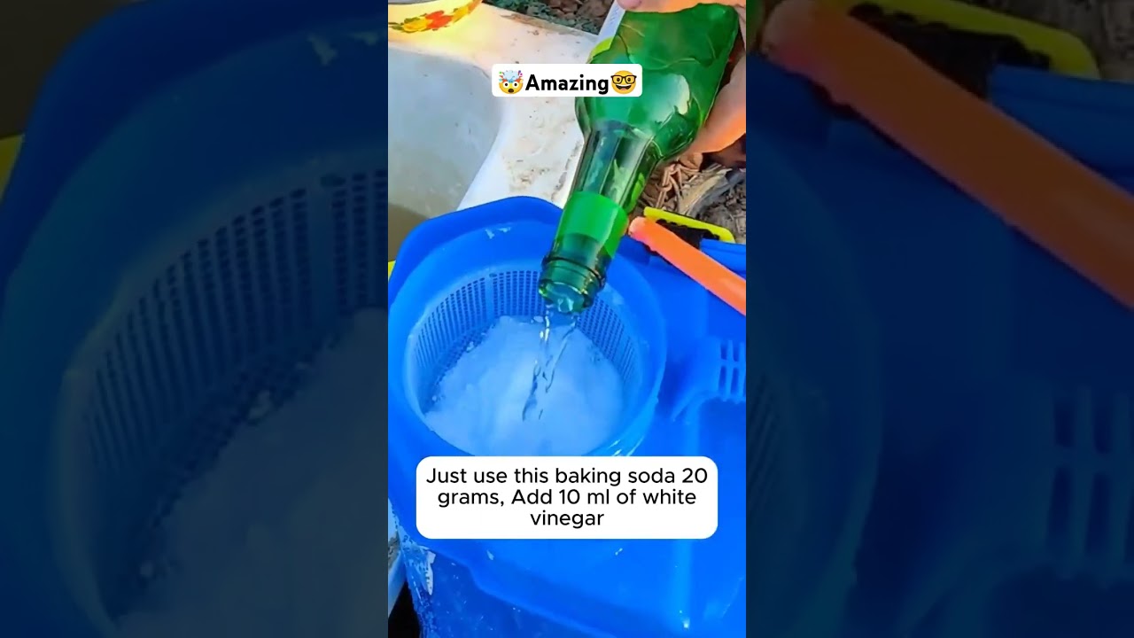 safe pesticides for vegetables...