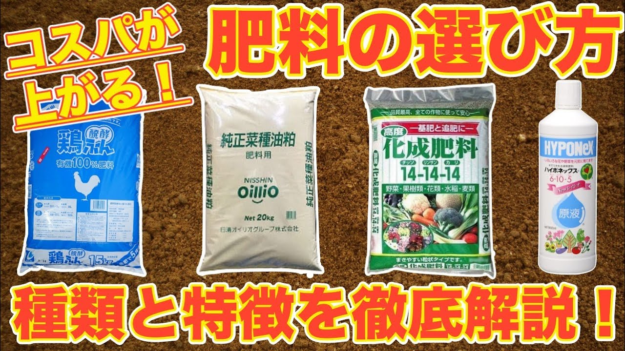 知らなきゃ損 化成肥料 有機肥料 液肥によって使用する時期や使い方が全く異なります 追肥におすすめ肥料は 即効的に効かせたい時は Youtube