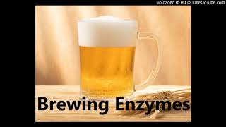 Beer Brewing Enzymes Suppliers: Glucoamylase, Thermostable α–Amylase for Brewing by Enzymes Wholesale 718 views 3 years ago 2 minutes, 40 seconds