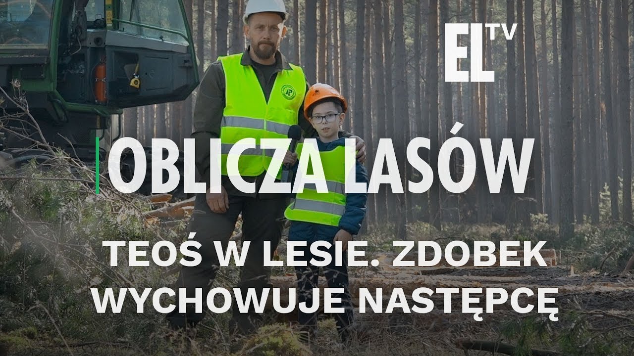 Teoś w lesie. Zdobek wychowuje następcę | Oblicza lasów #64