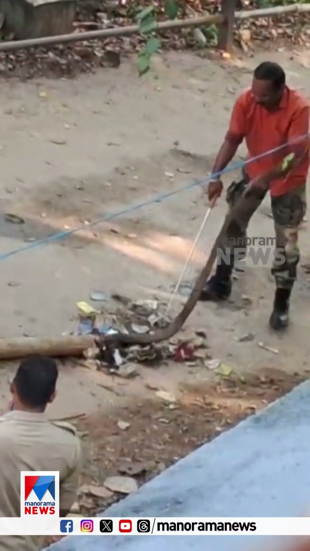 ശബരിമല ബെയ്ലി പാലത്തിന് സമീപം ഉപയോഗ ശൂന്യമായി കിടന്ന പൈപ്പിൽ നിന്ന് മൂർഖൻ പാമ്പിനെ പിടികൂടി