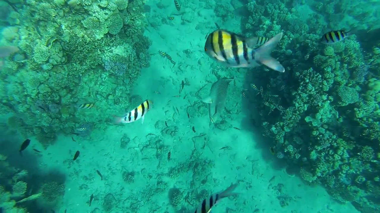 Студент күні ххх брюнетка аты