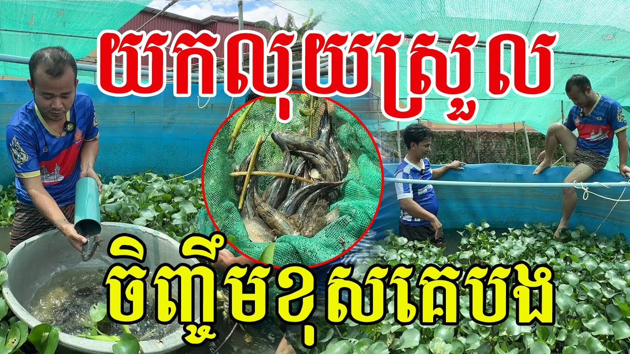 យកលុយស្រួល ដាក់តែមុខផ្ទះក៏បាន សរសើរបងប្រុសចេះរកនឹកឃើញ