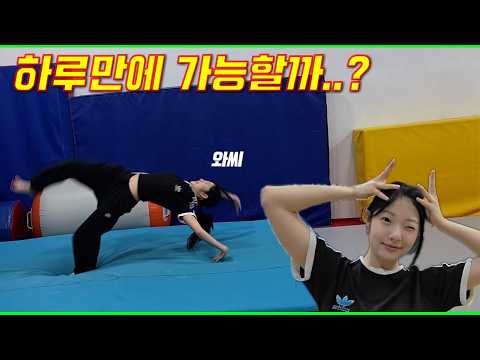 고3 하루 만에 핸드스프링 가능할까?